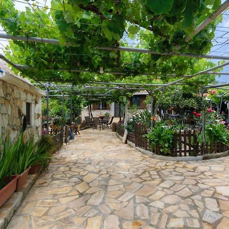 Dimitris'S Country House Agia  Buitenkant foto