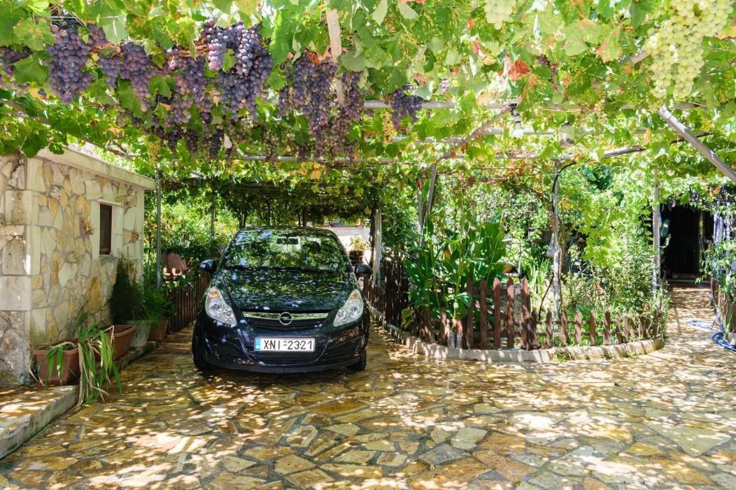 Dimitris'S Country House Agia  Buitenkant foto
