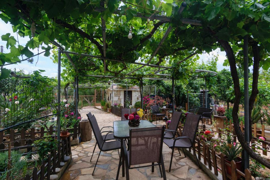 Dimitris'S Country House Agia  Buitenkant foto