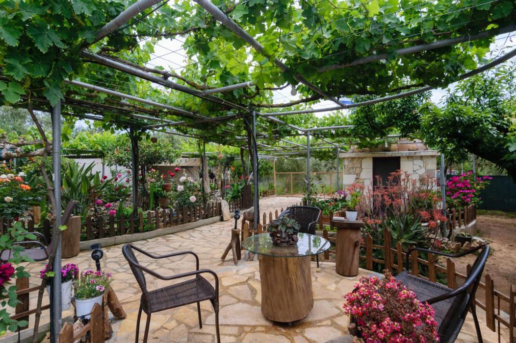 Dimitris'S Country House Agia  Buitenkant foto
