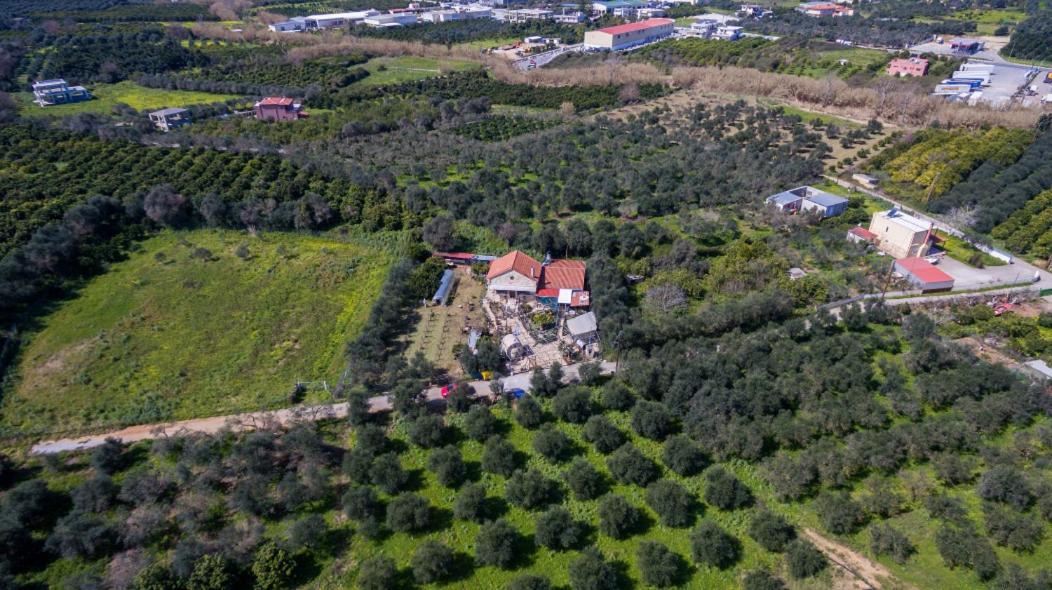 Dimitris'S Country House Agia  Buitenkant foto