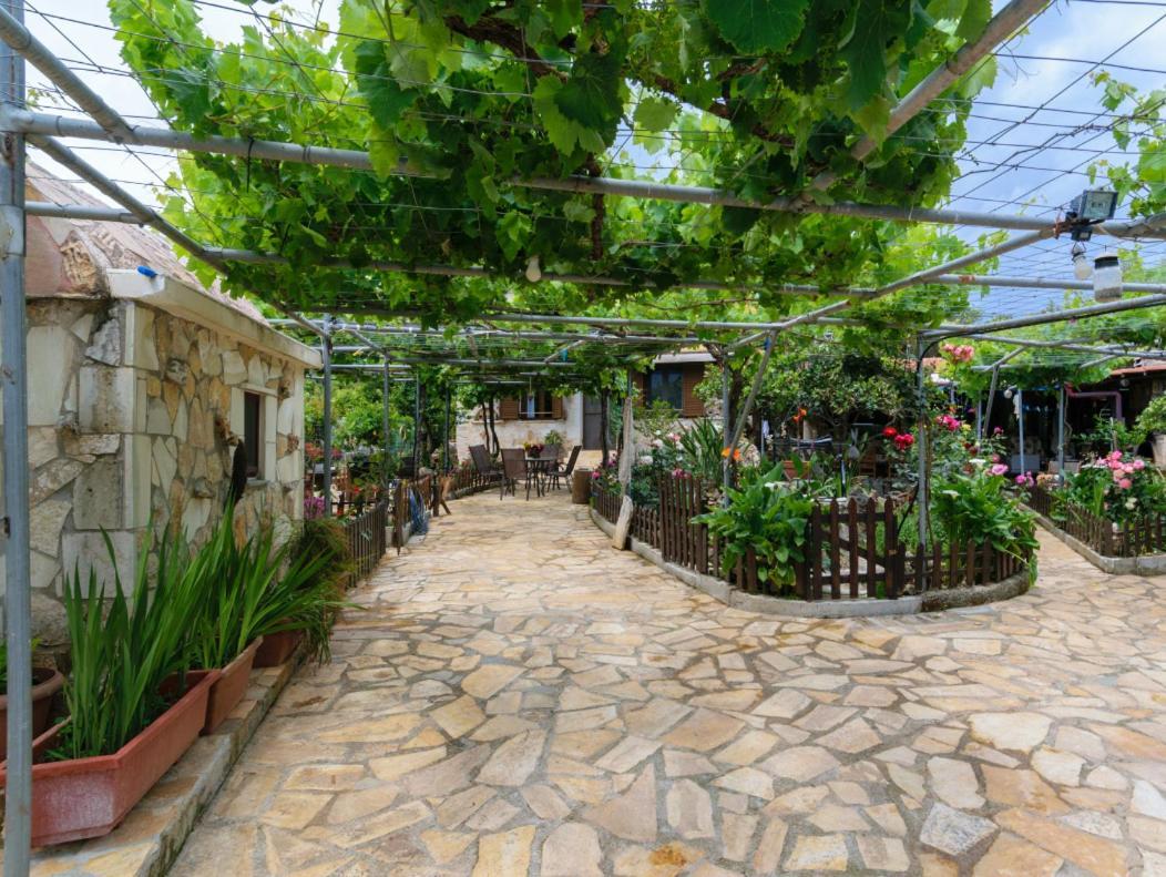 Dimitris'S Country House Agia  Buitenkant foto